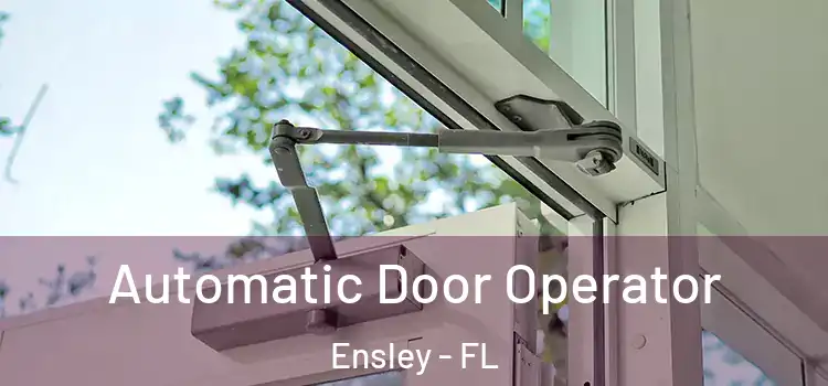 Automatic Door Operator Ensley - FL