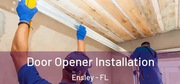 Door Opener Installation Ensley - FL