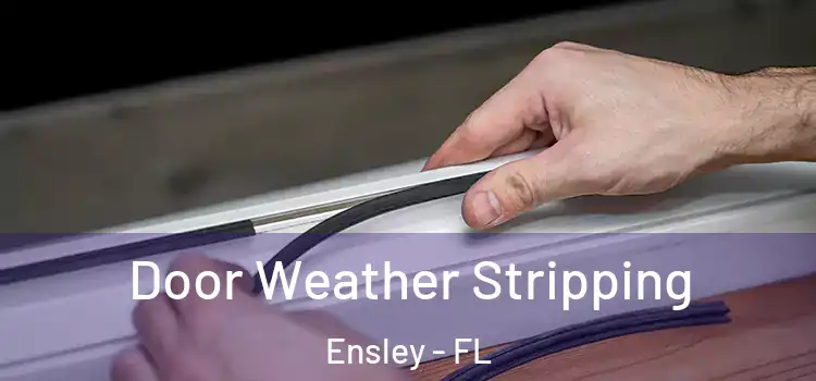 Door Weather Stripping Ensley - FL