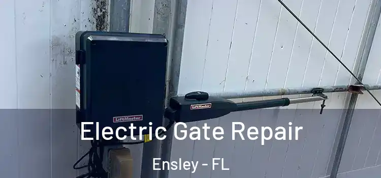 Electric Gate Repair Ensley - FL