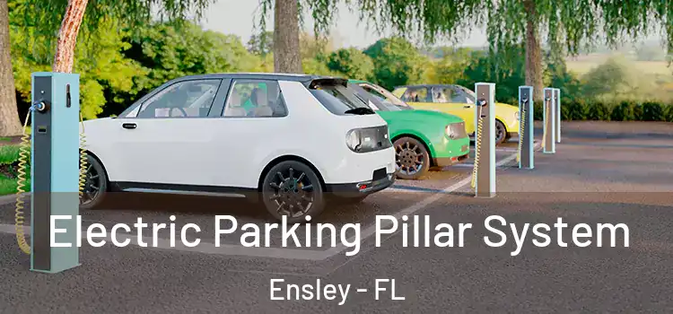 Electric Parking Pillar System Ensley - FL