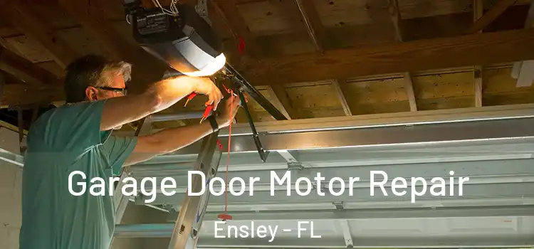  Garage Door Motor Repair Ensley - FL