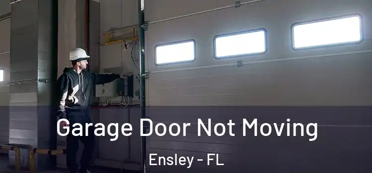  Garage Door Not Moving Ensley - FL