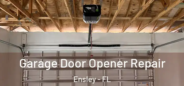  Garage Door Opener Repair Ensley - FL