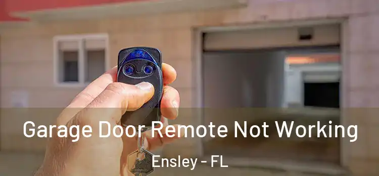  Garage Door Remote Not Working Ensley - FL