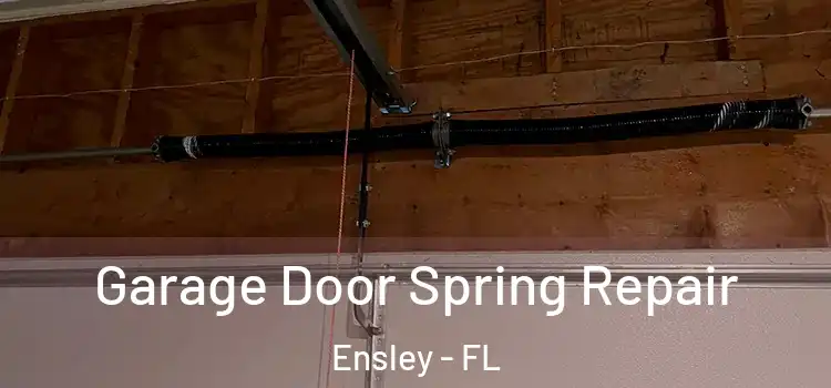  Garage Door Spring Repair Ensley - FL