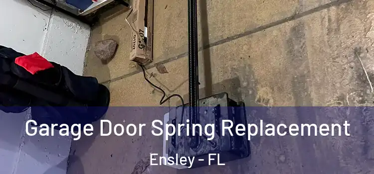  Garage Door Spring Replacement Ensley - FL