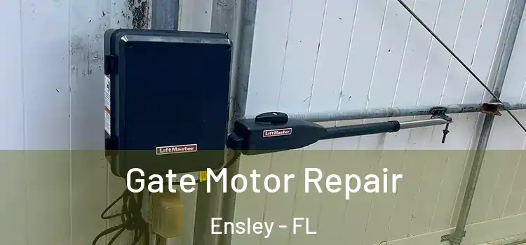Gate Motor Repair Ensley - FL