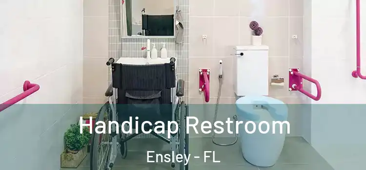 Handicap Restroom Ensley - FL