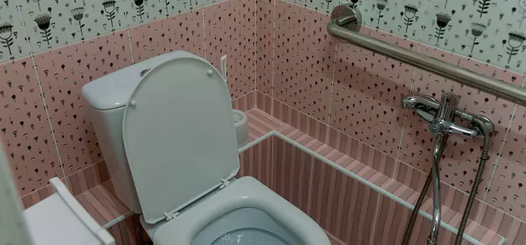 Meeting Diverse Needs With Accessible Restroom Solutions in Ensley, FL