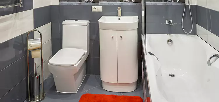 Hansgrohe Shaving Mirror Ensley