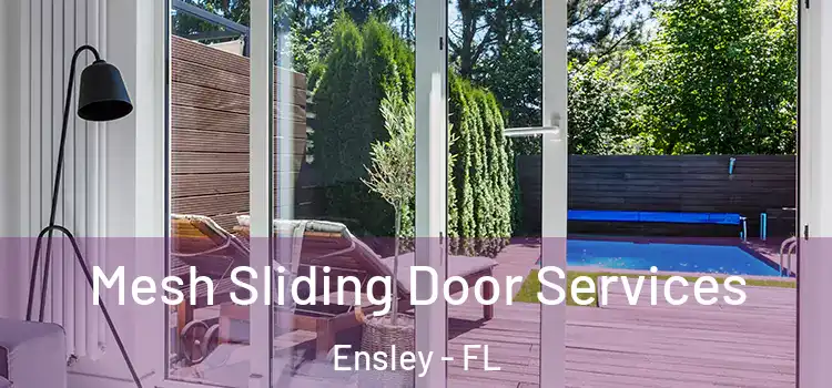 Mesh Sliding Door Services Ensley - FL